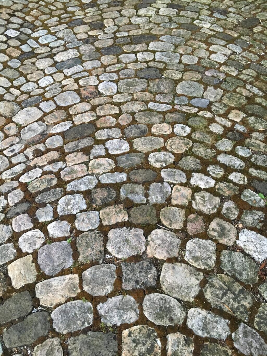 Czy płyty brukowe nadają się na podjazdy dla samochodów osobowych?